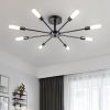 8 Light Black Rustic Industrial Dimmable Chandelier Ceiling Fixture