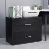 2 Drawer Wood Lateral File Cabinet , Storage Filing Cabinet for Home Office, Black